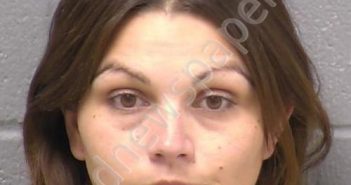 LEEK, MELISSA A | 2022-04-28 19:42:00 Will County, Illinois Booking