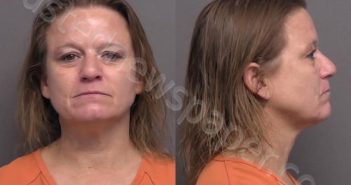 PETERSON,MICHELLE LYNN | 2022-04-29 16:20:00 Saline County, Kansas Booking
