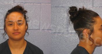 CASTRO AMAYA, ALINA SAMORA | 2022-05-02 Andrews County, Texas Booking
