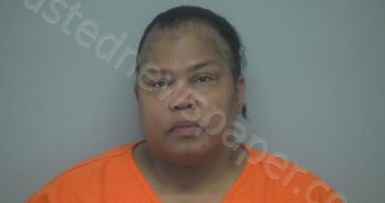 TRONDRA DENISE CHAPLIN | 2022-05-03 04:07:33 Beaufort County, South Carolina Booking