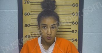 HADLEY, DESARAE MONIQUE | 2022-05-03 18:05:00 Ottawa County, Ohio Booking