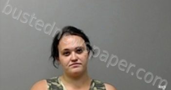 BRITTANY NICHOLE PURCELL | 2022-05-05 22:14:00 Baxter County, Arkansas Booking