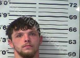 MATTHEW MILLER | 2022-05-05 01:17:00 Gibson County, Tennessee Booking