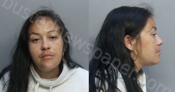 LOPEZ, LORIANS | 2022-05-06 04:21:00 Miami-Dade County, Florida Booking