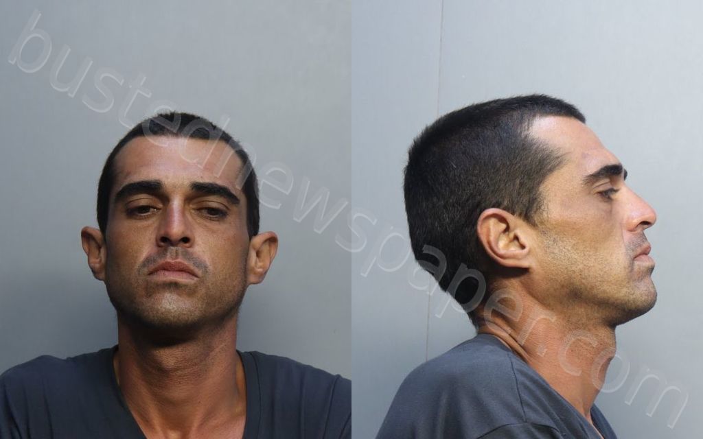 AYON, ALFONSO E #, Miami-Dade County, Florida - 2022-05-06 04:34:00