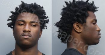 MCGEE, TERRICK DAWNTAE | 2022-05-06 02:59:00 Miami-Dade County, Florida Booking