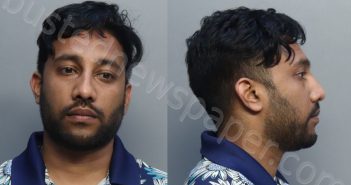 NISTHALAL, MICHAEL ANDY | 2022-05-07 03:49:00 Miami-Dade County, Florida Booking
