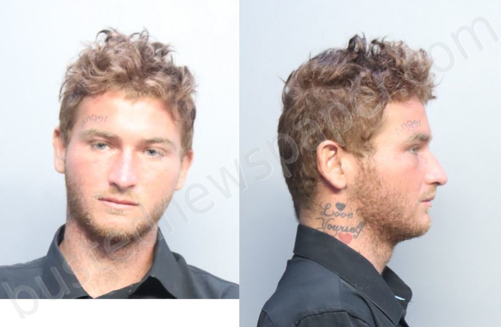 MCAFEE, SEAN KENNETH #, Miami-Dade County, Florida - 2022-05-07 04:48:00