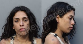 TORRES, DANIA JAVIERA | 2022-05-07 11:21:00 Miami-Dade County, Florida Booking