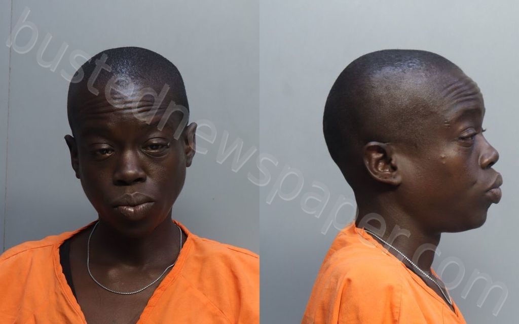 MARSHALL, CHANTE MITCHELLE #, Miami-Dade County, Florida - 2022-05-07 05:25:00