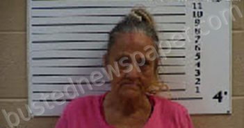 GENTLE, ROBERTA SUE | 2022-05-08 19:27:00 Cherokee County, North Carolina Booking