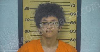 STIGALL, EVAN P | 2022-05-09 11:50:00 Ottawa County, Ohio Booking