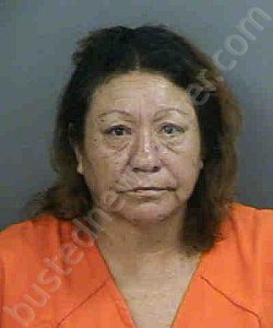 ROBLES,NORMA A | 2022-05-10 Collier County, Florida Booking