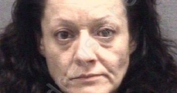 CASTELO, TINA NULL | 2022-05-11 Muskegon County, Michigan Booking