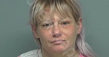 HANSON, TONIA LEE | 2022-05-11 01:26:00 Montgomery County, Texas Booking