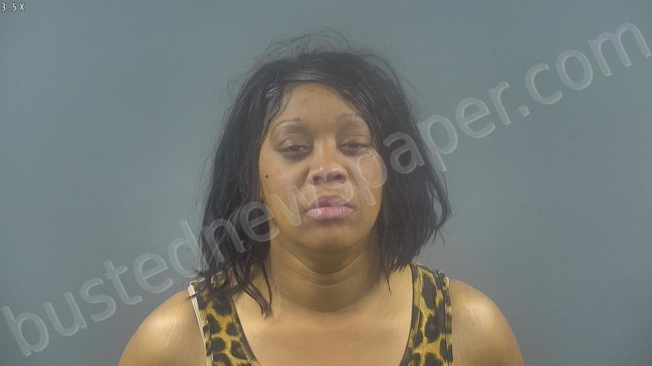 MCGINNIS, FRANCEDIA ANN #, Warren County, Kentucky - 2022-05-14 00:23:00