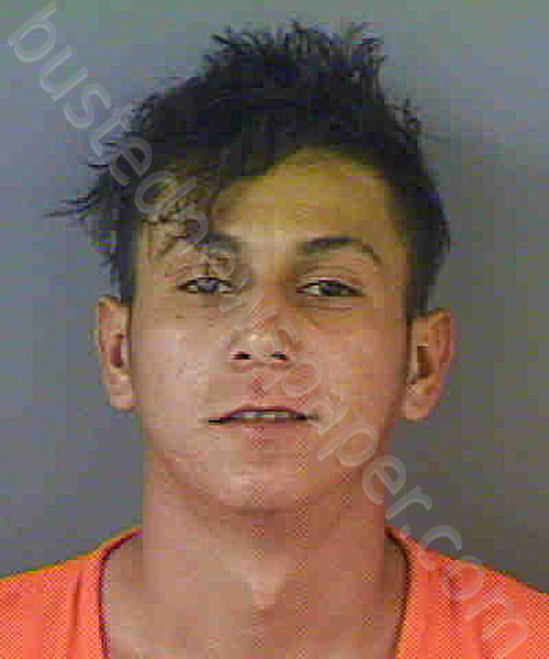 ALAS-PEREZ,WILFREDO ADIEL #, Collier County, Florida - 2022-05-16