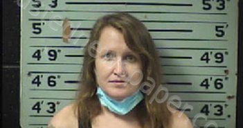 HICKS, CYNTHIA ANN | 2022-05-17 12:08:00 Transylvania County, North Carolina Booking