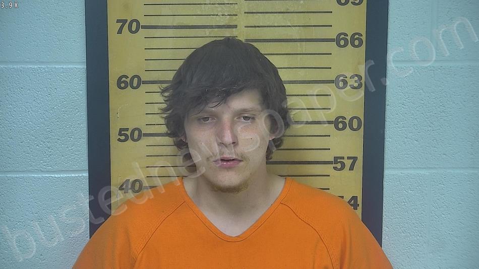 COLFLESH, ZACHARY K #, Ottawa County, Ohio - 2022-05-17 02:25:00