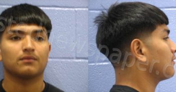 TORRES, SANTANA | 2022-05-18 Andrews County, Texas Booking