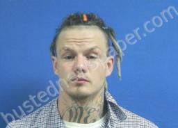 <B>BRANDON</B> <B>EMMONS</B> #, Dickson County, Tennessee - 2022-05-18 16:42:00