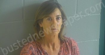 PLASENCIA, ELIZABETH SHIELDS | 2022-05-18 03:26:00 Levy County, Florida Booking