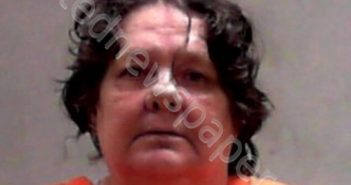 LOGSDON, DONNA SUE | 2022-05-19 12:30:00 Ohio County, West Virginia Booking