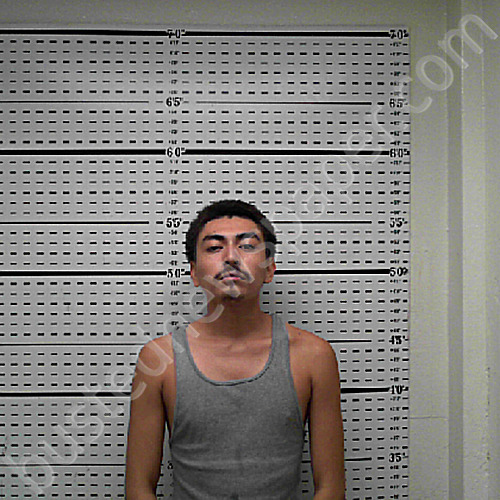 ALDACO, VICENTE IVAN #, Jim Wells County, Texas - 2022-05-21 04:00:01