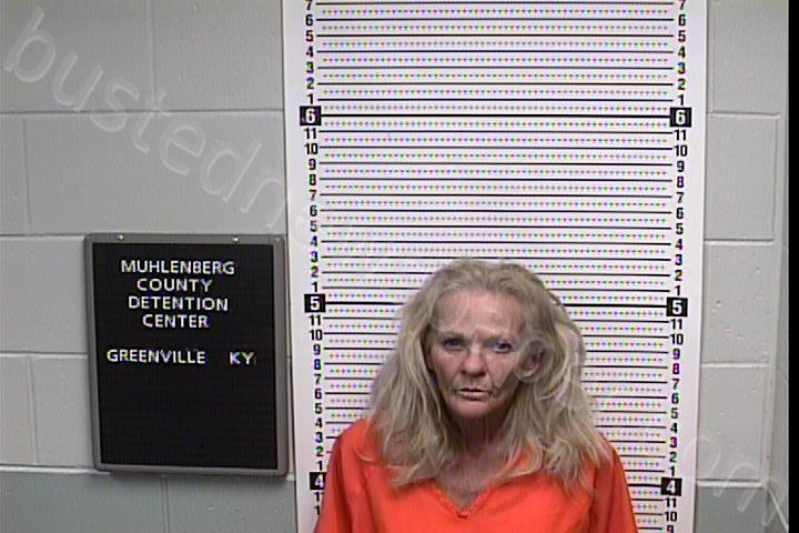 BROOKS, BRANDI ALEXANDRA #, Muhlenberg County, Kentucky - 2022-05-22