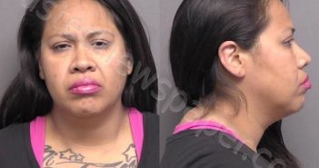 MARTINEZ,AMANDA NICOLE | 2022-05-23 00:16:00 Saline County, Kansas Booking