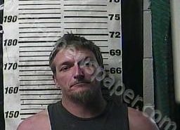 CLINTON BRITT | 2022-05-23 09:19:00 Cocke County, Tennessee Booking