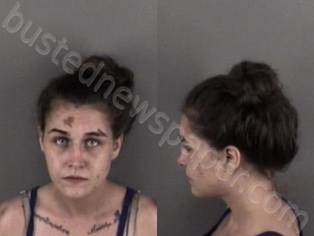 HANEY, ALEXIS LEE #, Gaston County, North Carolina - 2022-05-23 19:39:00