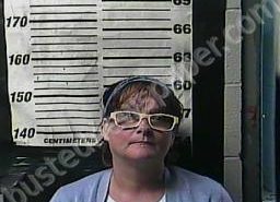 TAMMY WEBB | 2022-05-23 07:08:00 Cocke County, Tennessee Booking