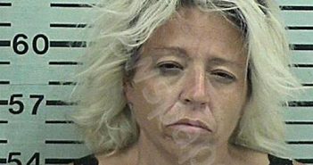 HIPPS, SARAH ANN | 2022-05-25 19:24:23 Hood County, Texas Booking