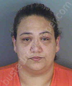 HERNANDEZ,MILAGROS | 2022-05-25 Collier County, Florida Booking