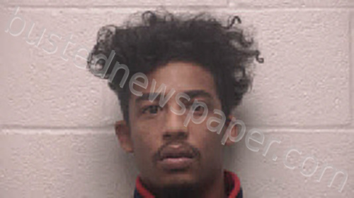 WALLER, NICHOLAS TREYSHAWN JAMES #, Robertson County, Tennessee - 2022-05-26 06:45:00