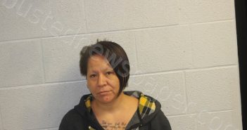 PHEASANT, GRETA LYNN | 2022-05-27 19:42:00 Jackson County, North Carolina Booking