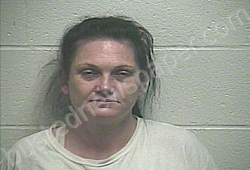 WRIGHT, KRISTY MARIE #, Giles County, Tennessee - 2022-05-28 22:24:00