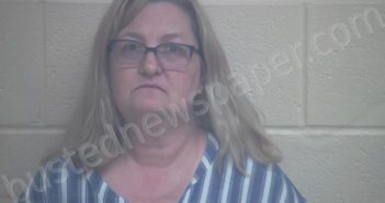 WILLIS, AUDRA RENEE | 2022-05-28 02:10:00 Webster County, Kentucky Booking