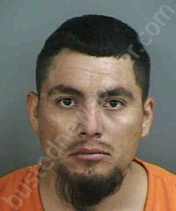 CRUZHERNANDEZ,JOSE DANIEL | 2022-05-28 Collier County, Florida Booking