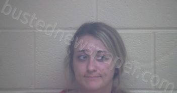DAVIS, MARISSA MARIE | 2022-05-28 04:11:00 Webster County, Kentucky Booking