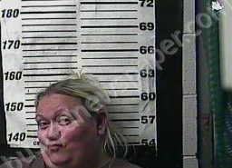 CINDY ELLISON | 2022-05-29 00:12:00 Cocke County, Tennessee Booking