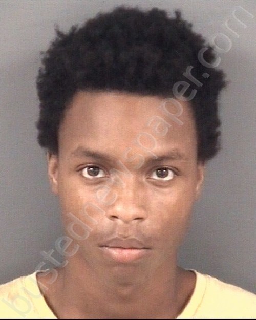 LEE, ANTONIO TREVON #, Cumberland County, North Carolina - 2022-05-29