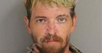 MATTHEW THOMAS HENNING | 2022-05-29 Osceola County, Florida Booking