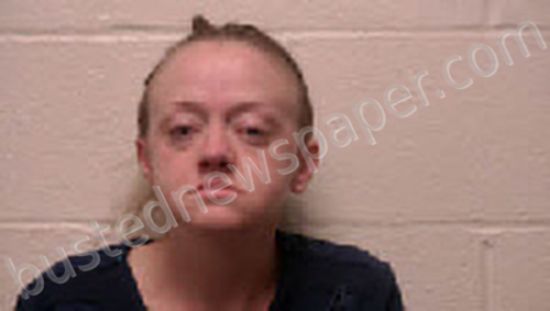 SHULTZ, DEONNA #, Robertson County, Tennessee - 2022-05-30 14:53:00