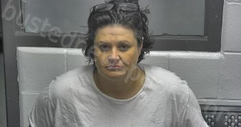 <B>SCOTT</B>, <B>ALLISON</B> <B>RENEE</B> #, Meade County, Kentucky - 2022-05-31 15:52:00