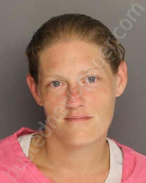 COOK, BRITTANY NICOLE #, Berkeley County, South Carolina - 2022-06-03 14:12:00