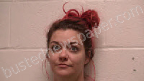 KEYES, LAUREN #, Robertson County, Tennessee - 2022-06-03 16:47:00