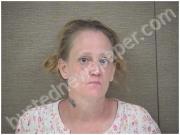 WILSON, SONDRA | 2022-06-03 Harnett County, North Carolina Booking