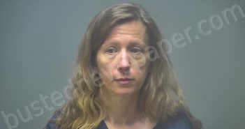 KLEIN, JEANETTE KAY | 2022-06-04 21:41:00 Isabella County, Michigan Booking